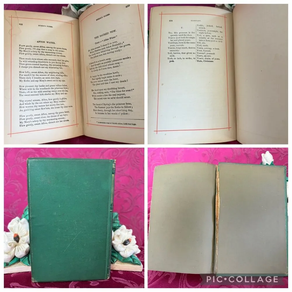 1881 The Poetical Works of Robert Burns, Antique Poetry Book, T. Y. Crowell